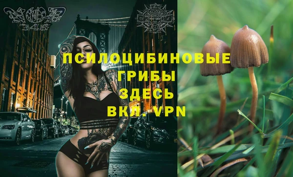 кокаин колумбия Липки