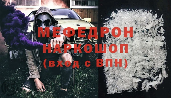индика Кулебаки