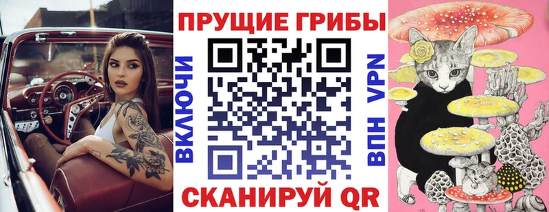 где купить   ОМГ ОМГ вход  Галлюциногенные грибы GOLDEN TEACHER  Ипатово 