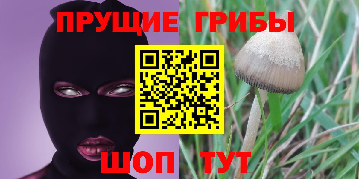 Псилоцибиновые грибы Magic Shrooms Ипатово